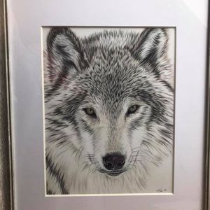 Framed wolf drawing